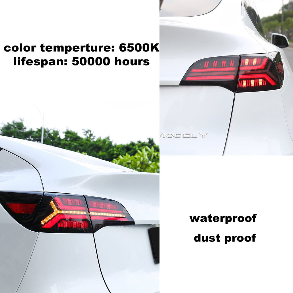 TESERY Fish Bone Tail Light for Model 3/Y